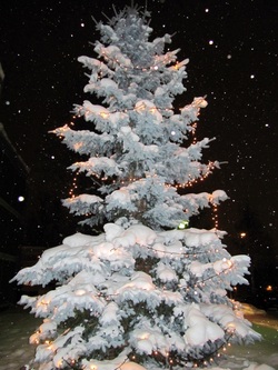 Yöllisen lumisateen keskellä on luminen joulukuusi, jossa on jouluvalot. Jan Holmberg Mainio blogi janholmberg.weebly.com Copyright Jan Holmberg